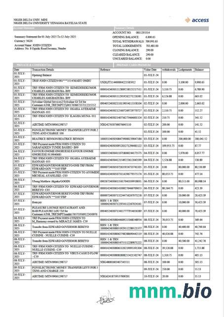 Szablon wyciągu bankowego Nigeria Zenith w programie Word i PDF